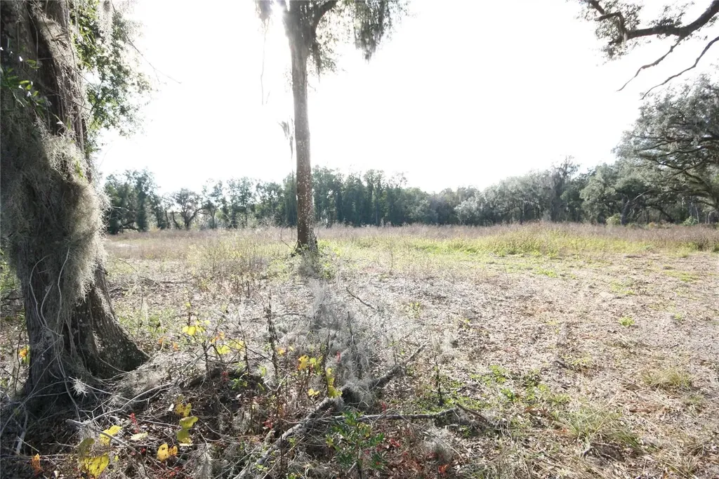 Us Highway 301 Tbd Citra FL 32113