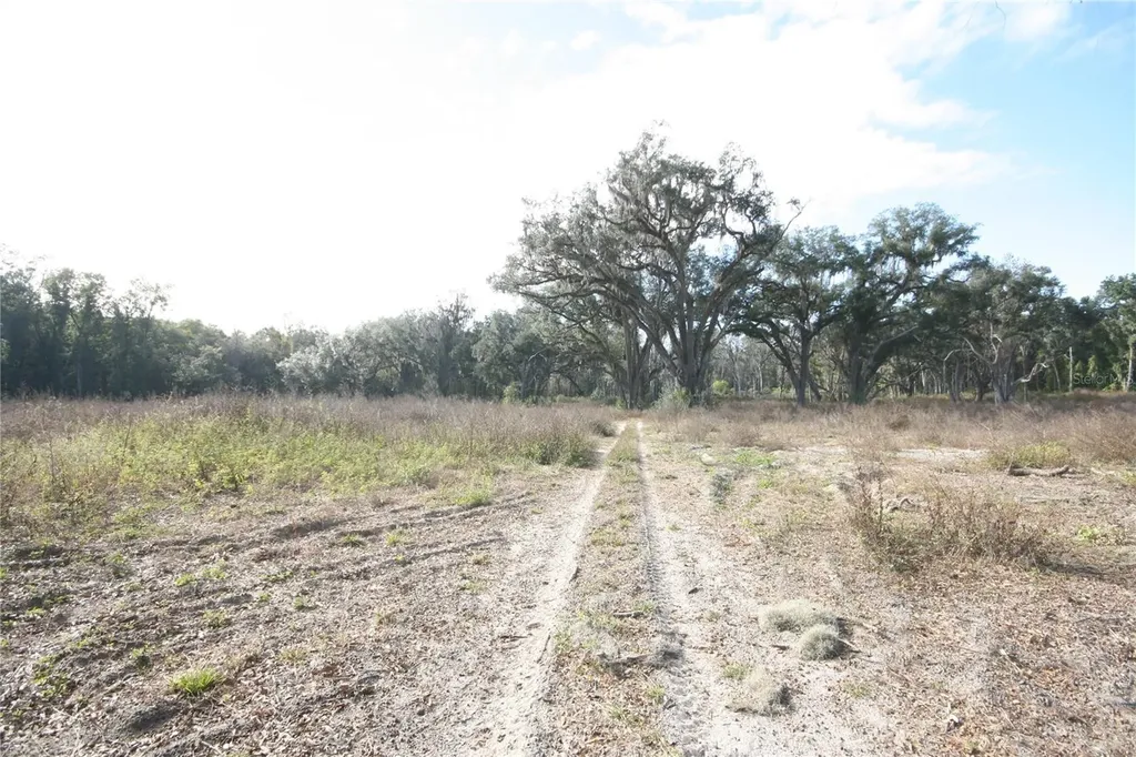 Us Highway 301 Tbd Citra FL 32113