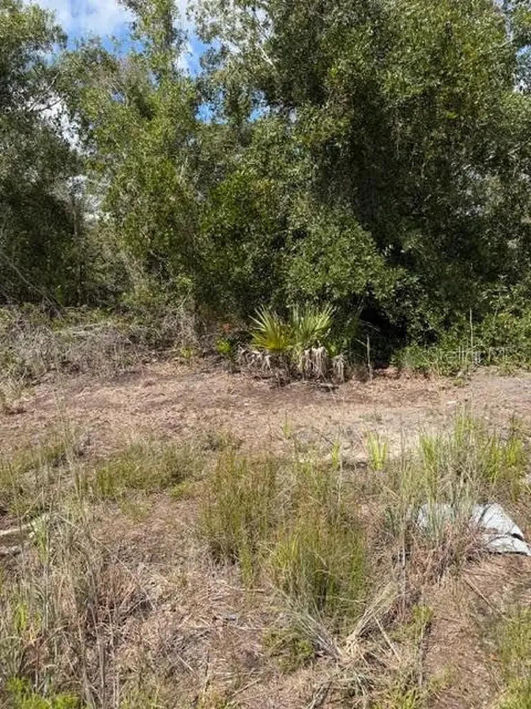 5425 Jacaranda Drive Punta Gorda FL 33982