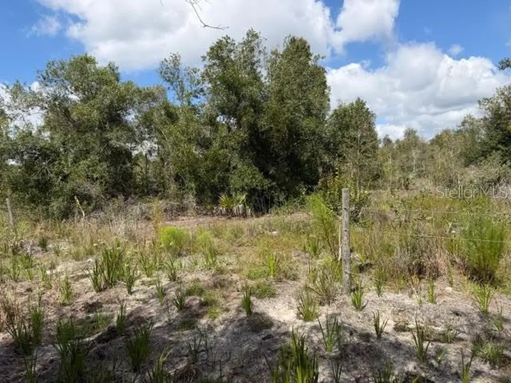 5425 Jacaranda Drive Punta Gorda FL 33982