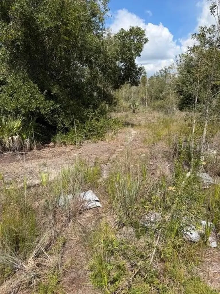 5425 Jacaranda Drive Punta Gorda FL 33982