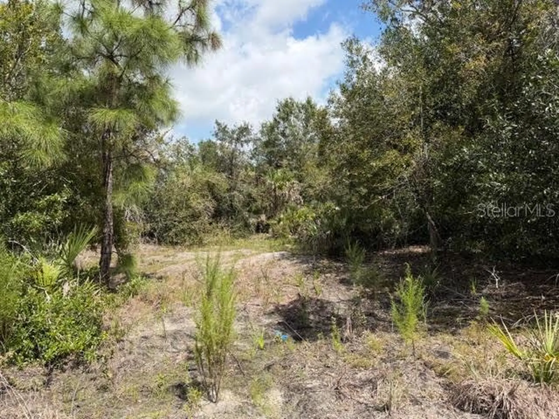 5425 Jacaranda Drive Punta Gorda FL 33982
