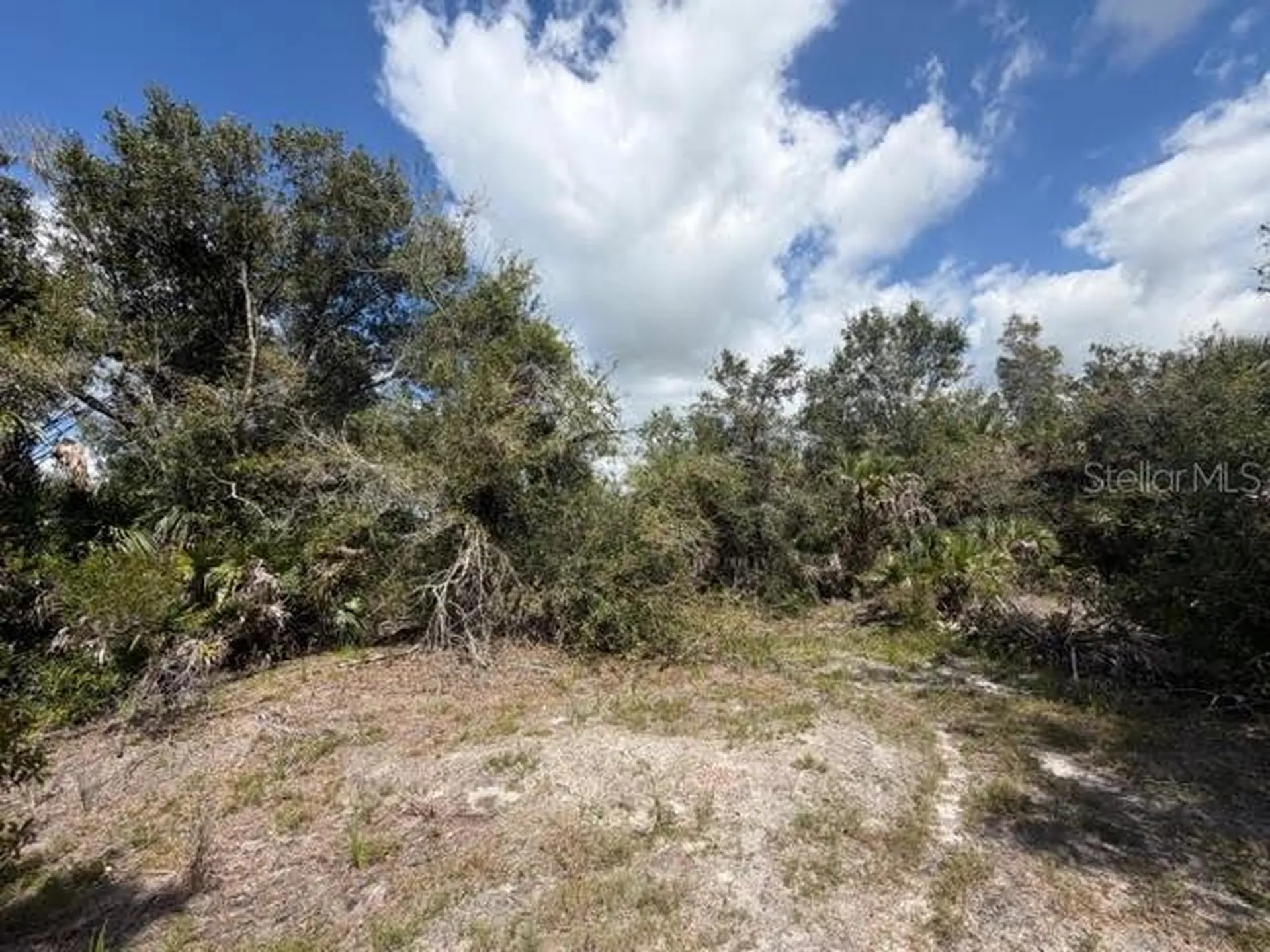 5425 Jacaranda Drive Punta Gorda FL 33982