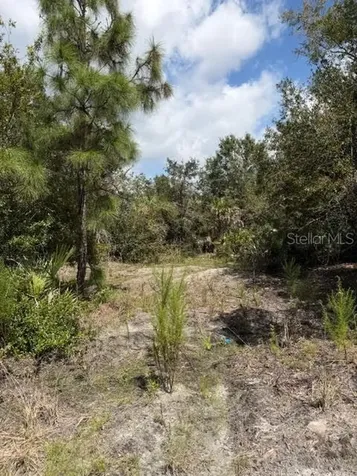 5425 Jacaranda Drive Punta Gorda FL 33982