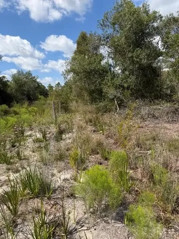 5425 Jacaranda Drive Punta Gorda FL 33982