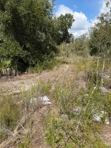 5425 Jacaranda Drive Punta Gorda FL 33982