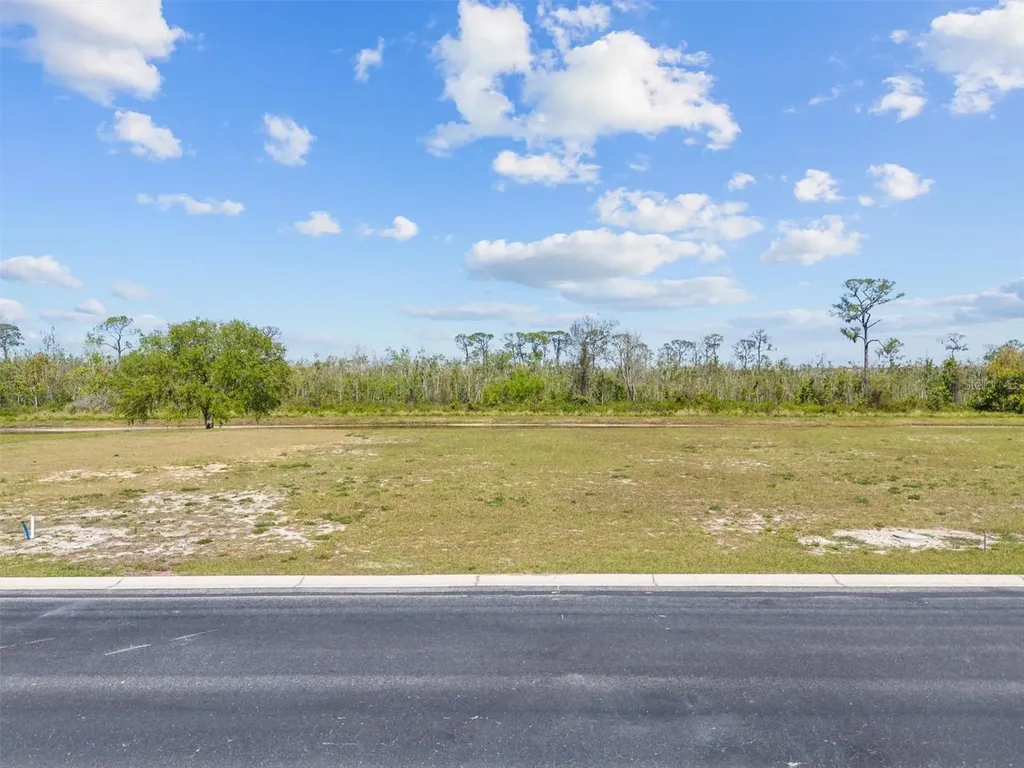 345 Adams View Lane Auburndale FL 33823