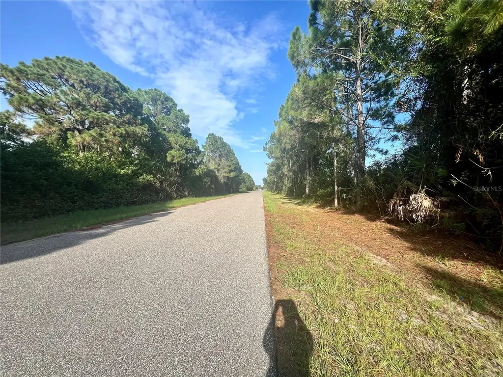 12415 Deepwoods Avenue Port Charlotte FL 33981