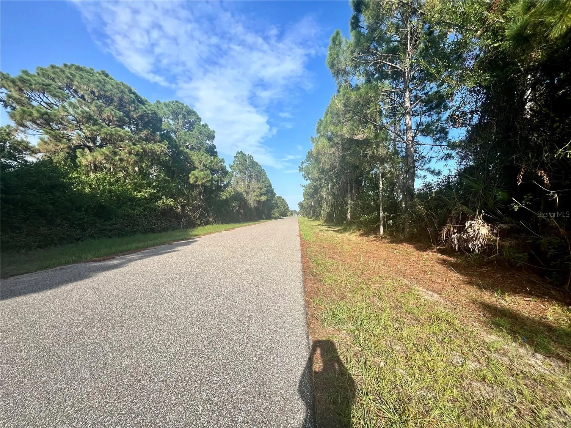 12415 Deepwoods Avenue Port Charlotte FL 33981
