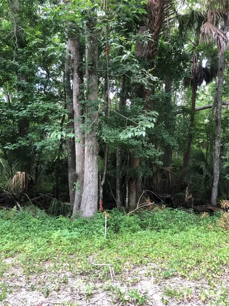 Keefer Trail Kissimmee FL 34747