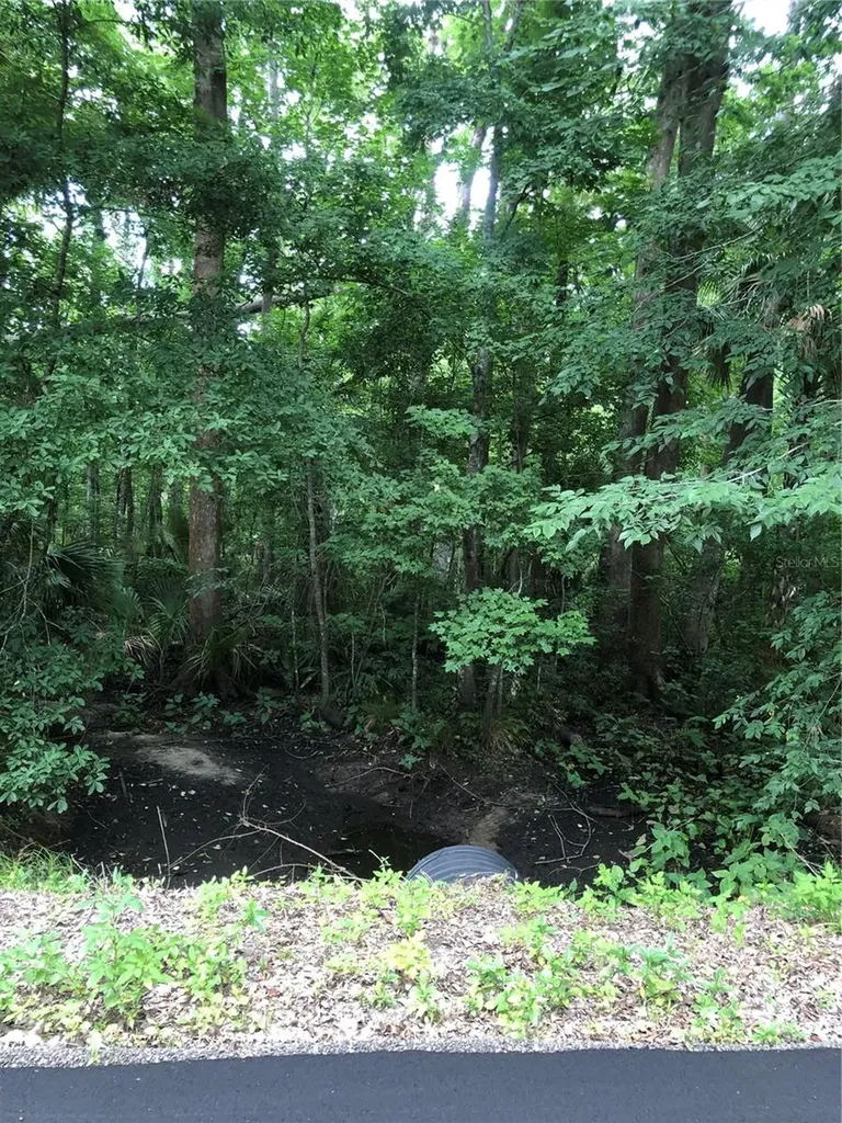 Keefer Trail Kissimmee FL 34747