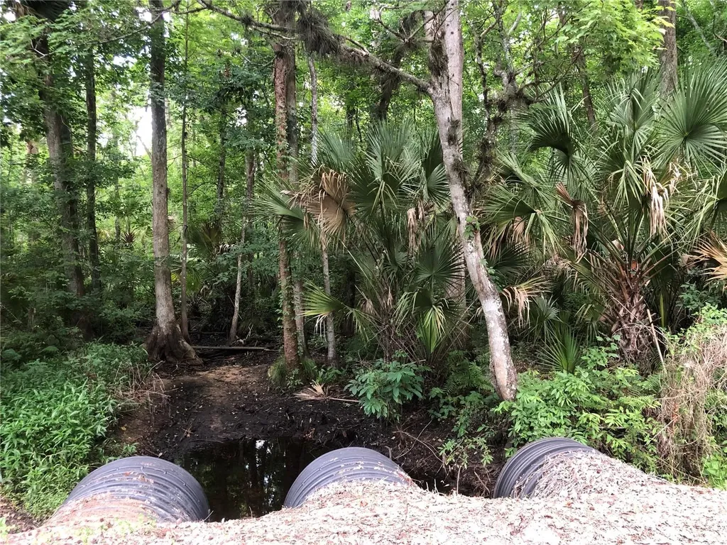 Keefer Trail Kissimmee FL 34747