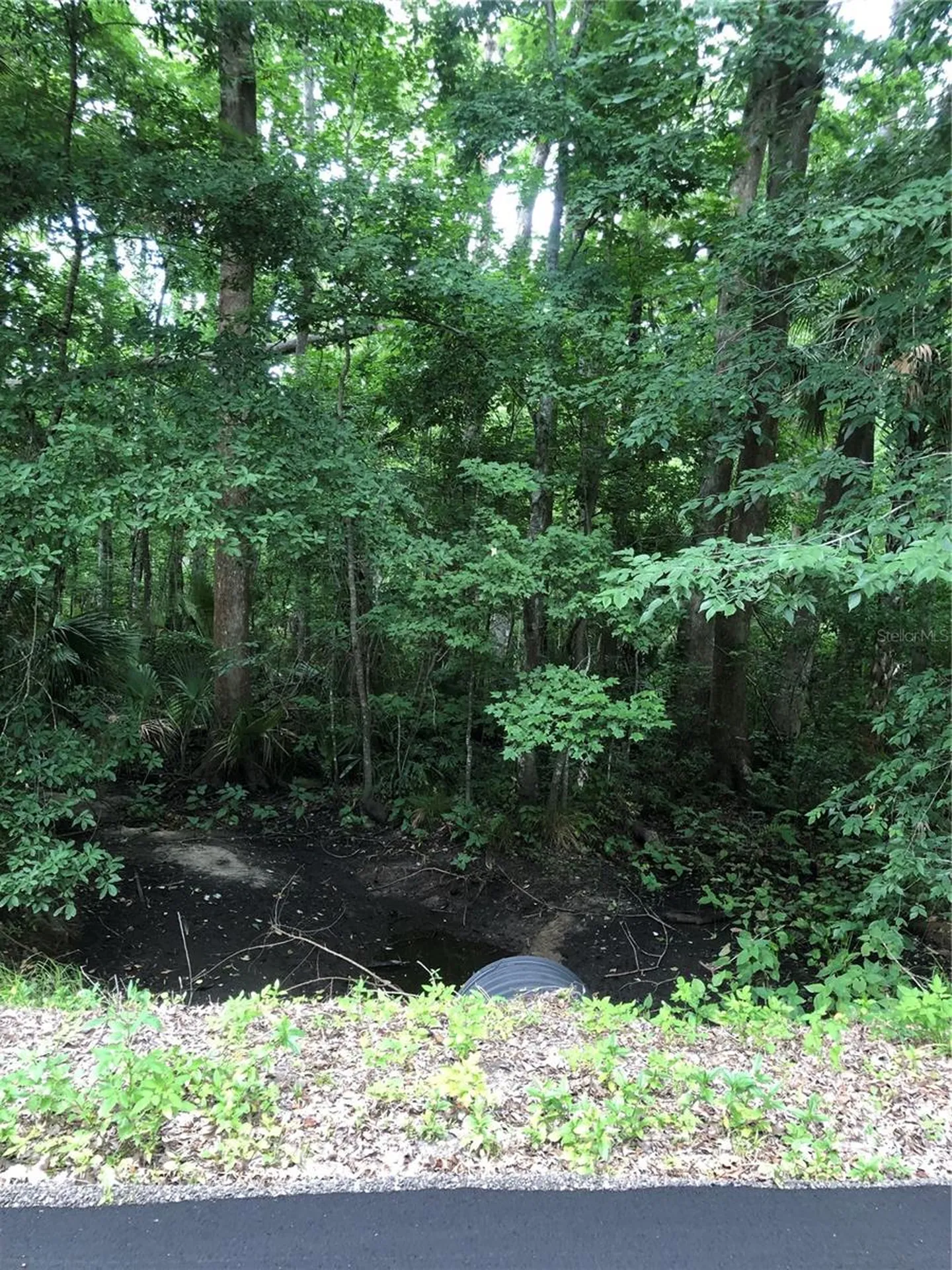 Keefer Trail Kissimmee FL 34747