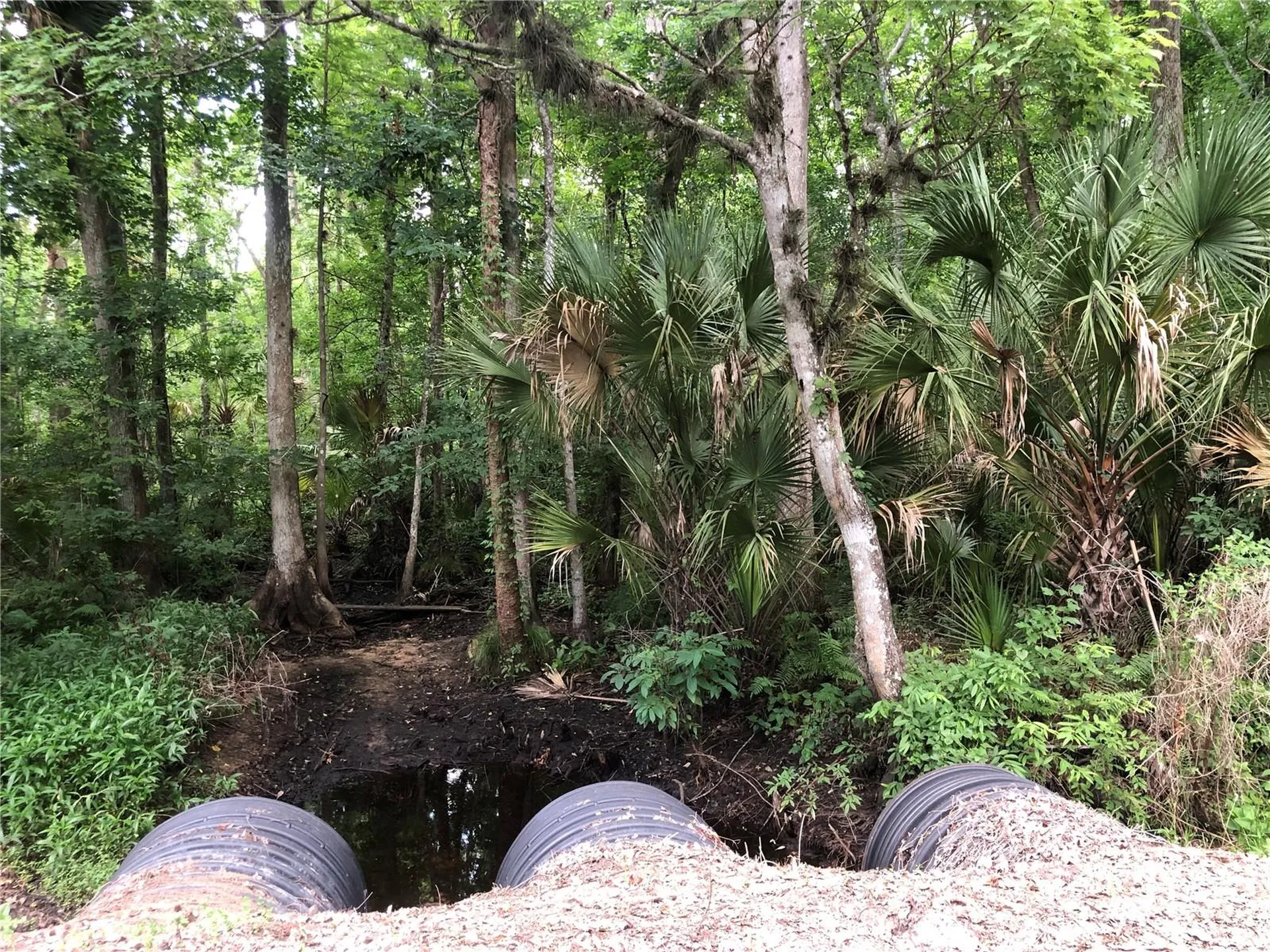 Keefer Trail Kissimmee FL 34747