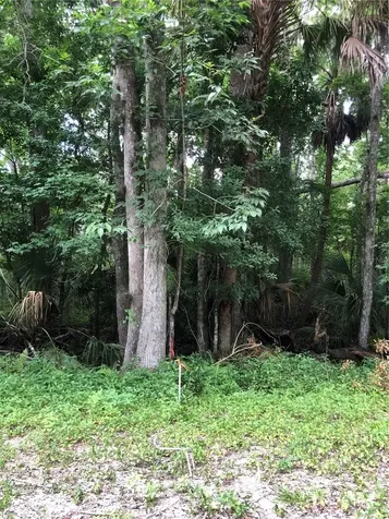 Keefer Trail Kissimmee FL 34747