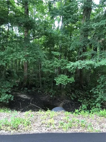 Keefer Trail Kissimmee FL 34747
