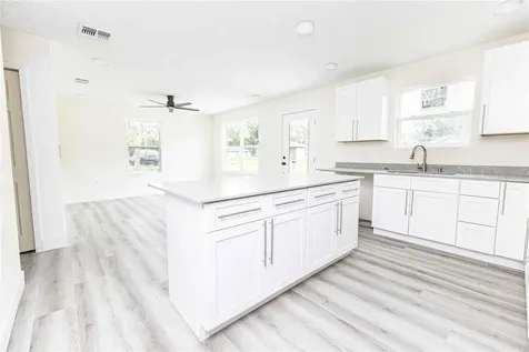 2399 Cr 423 Lake Panasoffkee FL 33538