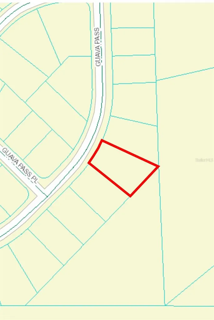 164 Guava Pass Ocklawaha FL 32179