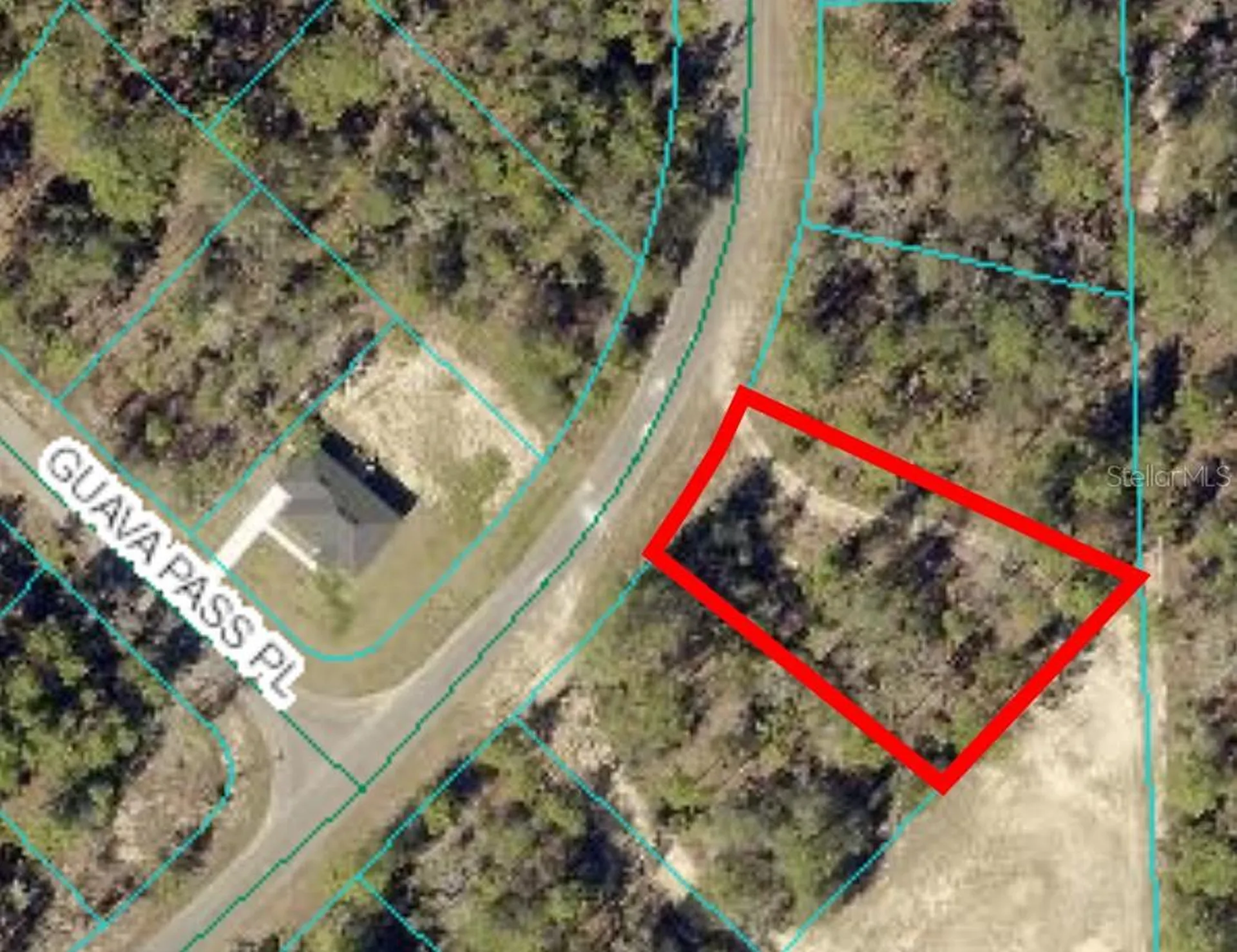 164 Guava Pass Ocklawaha FL 32179