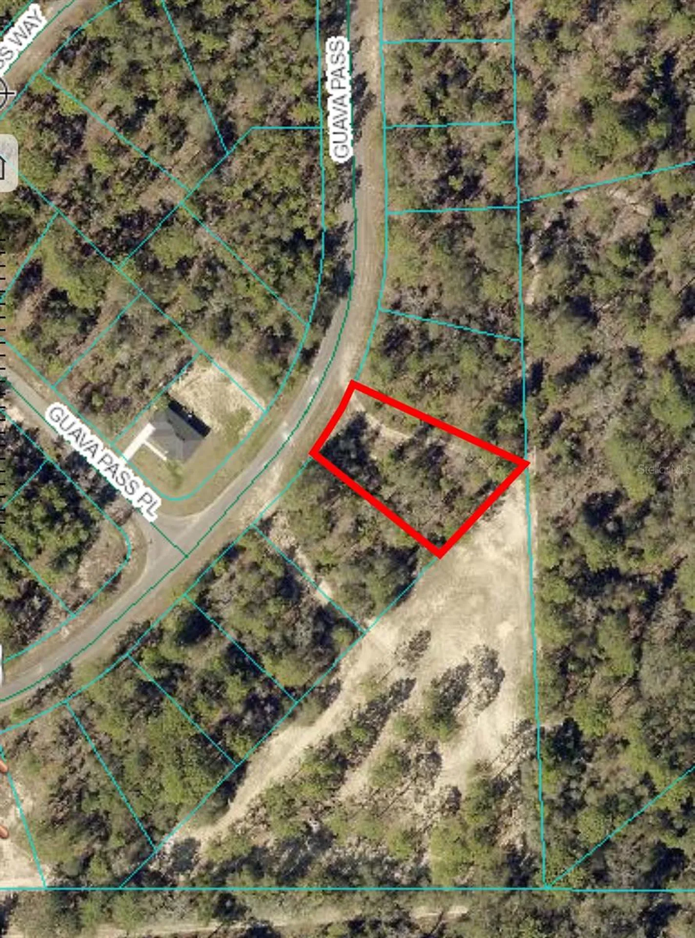 164 Guava Pass Ocklawaha FL 32179