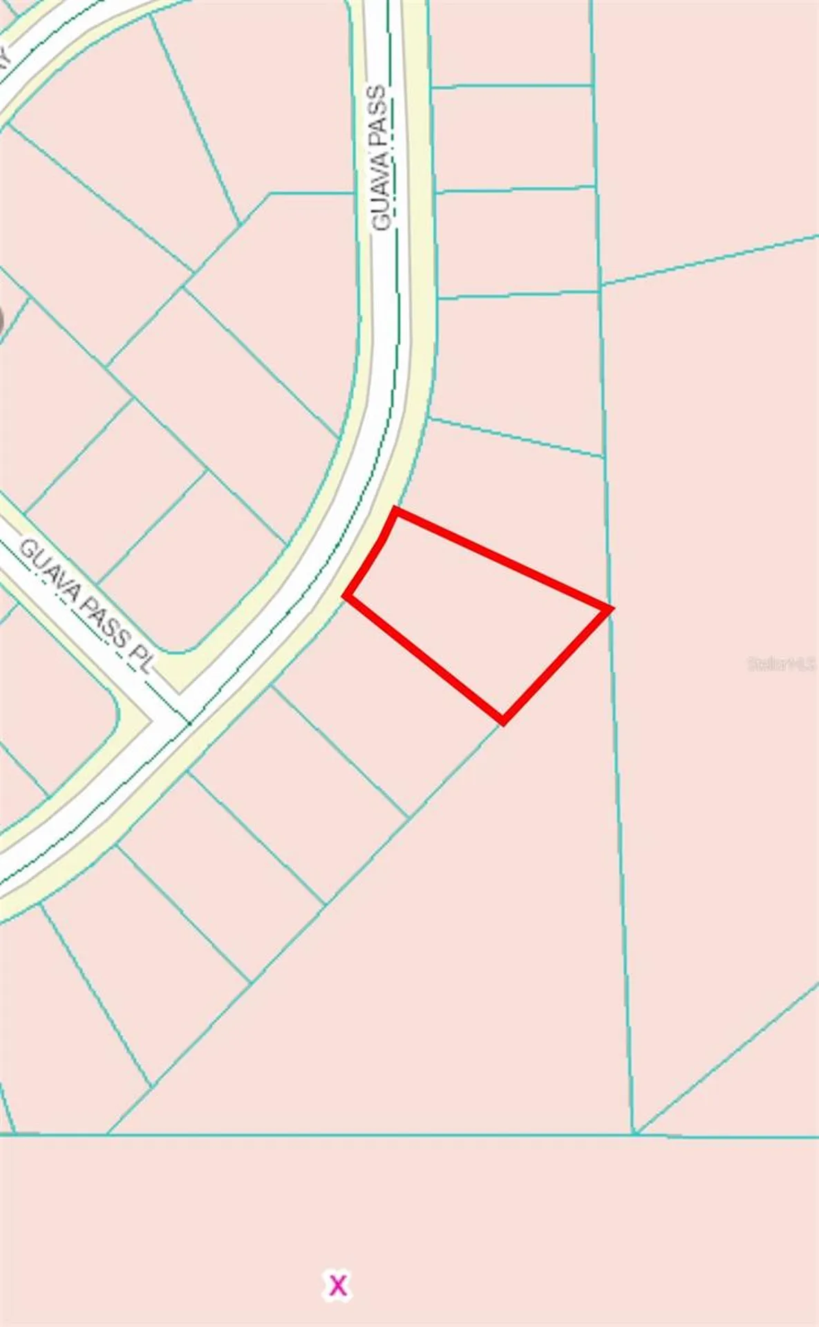 164 Guava Pass Ocklawaha FL 32179