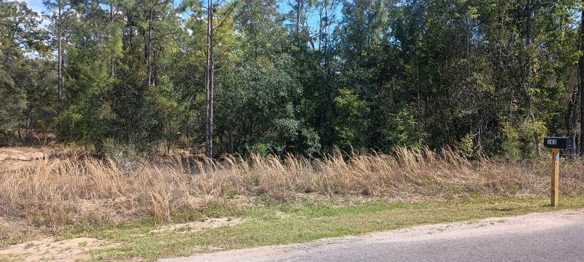 164 Guava Pass Ocklawaha FL 32179