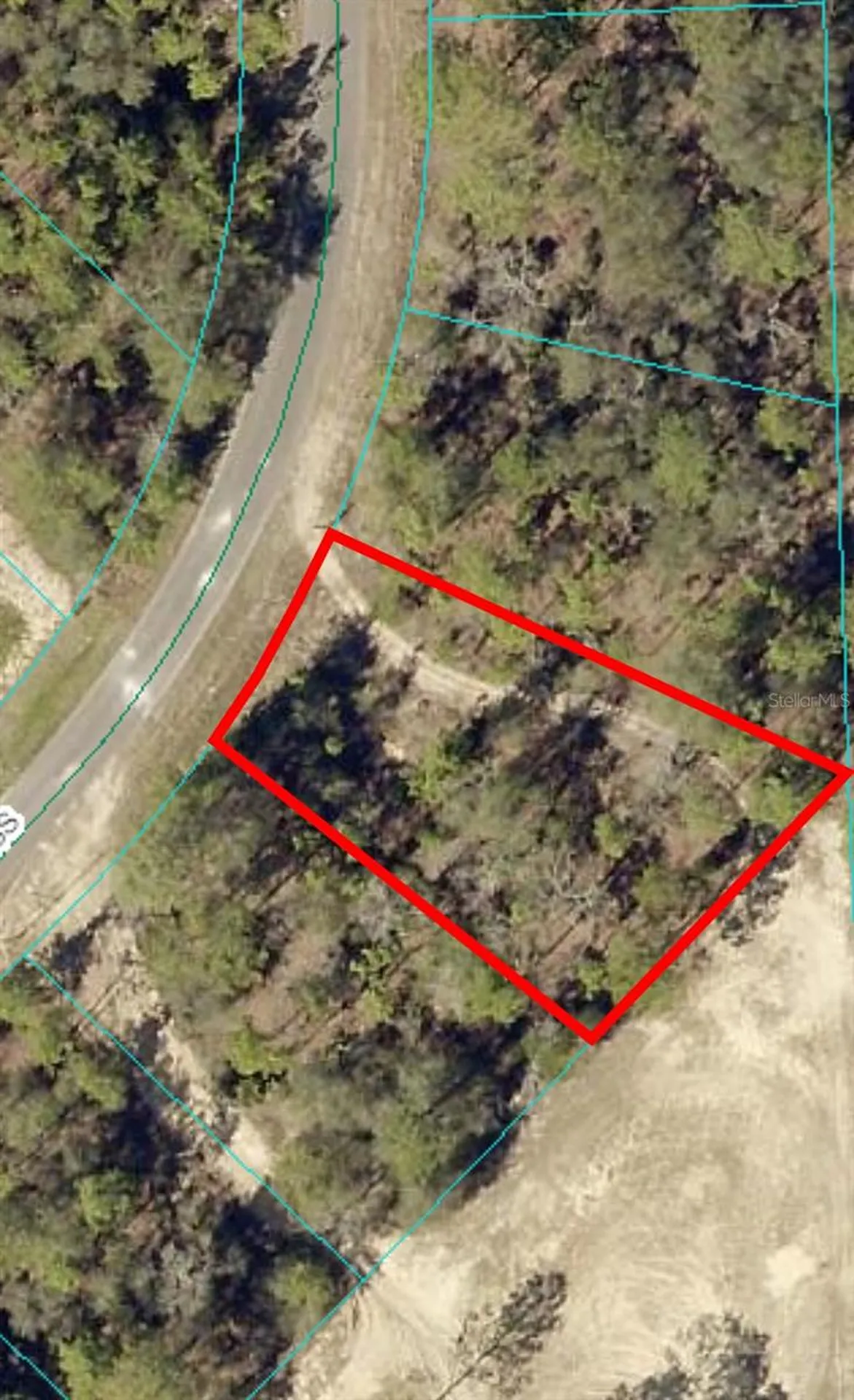 164 Guava Pass Ocklawaha FL 32179
