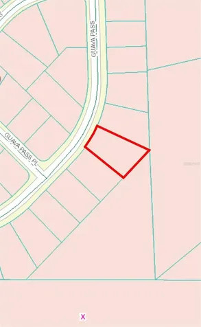 164 Guava Pass Ocklawaha FL 32179