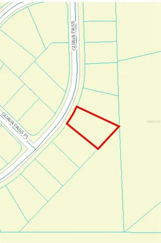164 Guava Pass Ocklawaha FL 32179