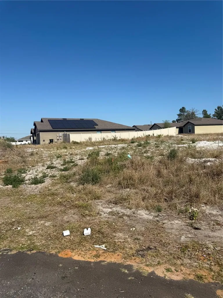 17 Larch Lane Kissimmee FL 34759