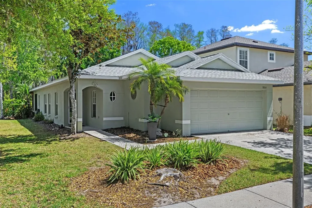 7816 Citrus Blossom Drive Land O Lakes FL 34637