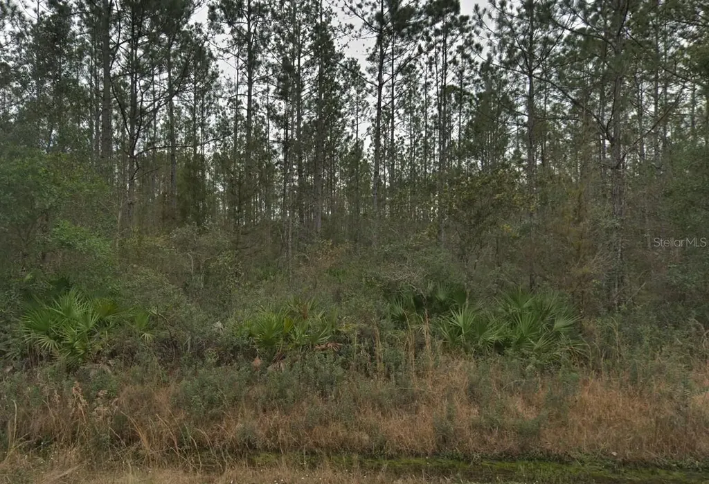 4255 Edward Street Hastings FL 32145