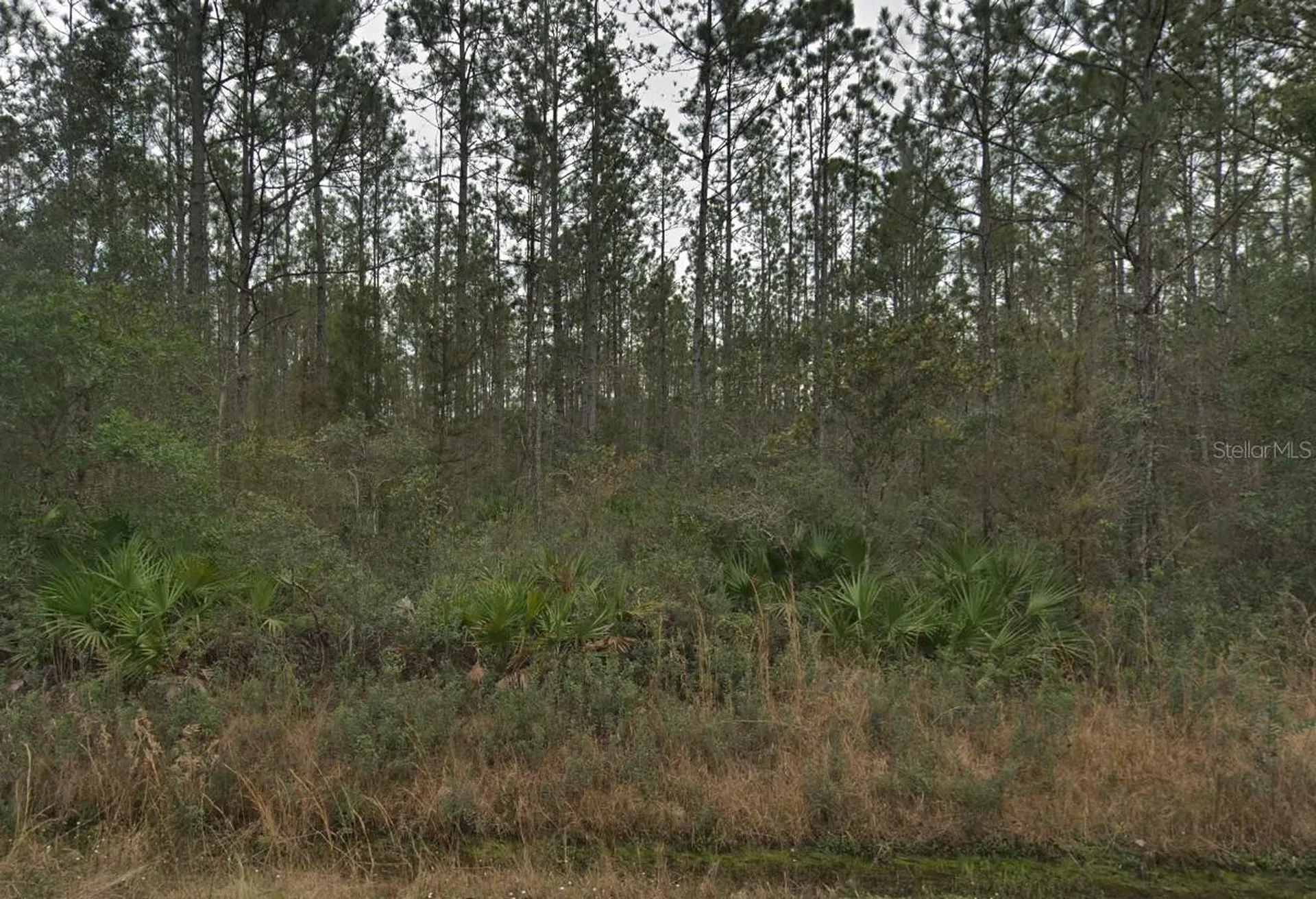 4255 Edward Street Hastings FL 32145