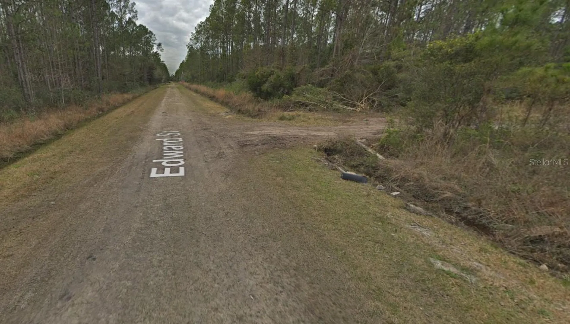 4255 Edward Street Hastings FL 32145
