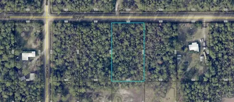 4255 Edward Street Hastings FL 32145