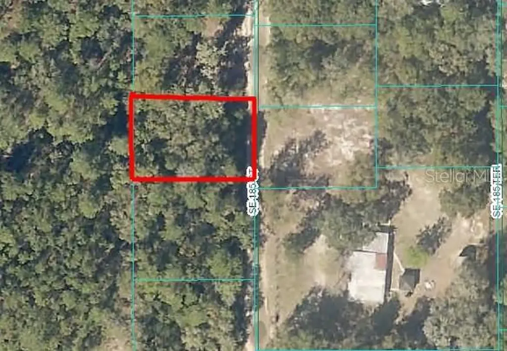 185TH Court Ocklawaha FL 32179