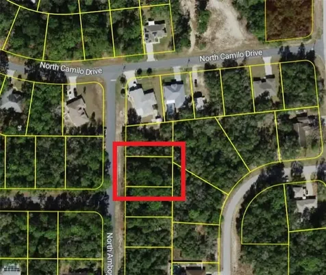 9055 N Amboy Drive Citrus Springs FL 34433