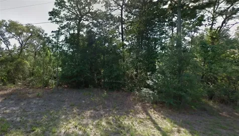 9055 N Amboy Drive Citrus Springs FL 34433