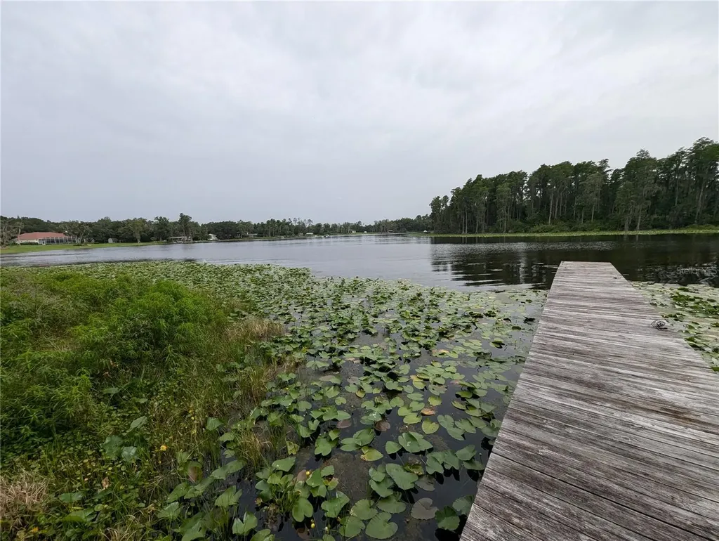 18302 Hanna Road Lutz FL 33549