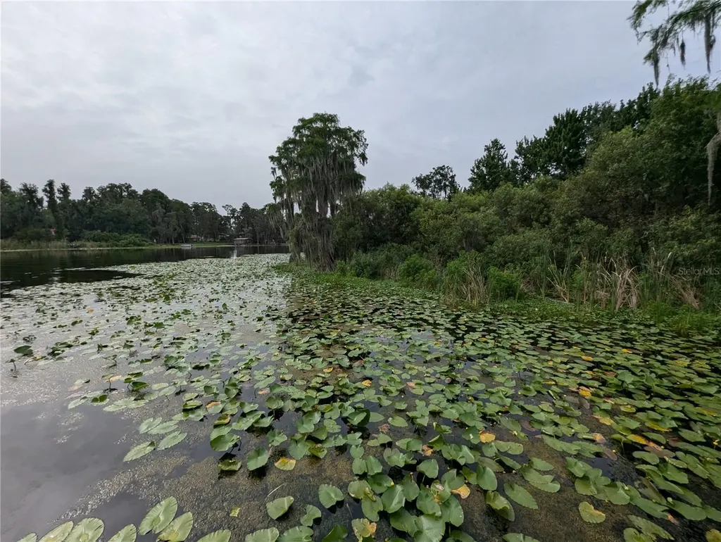 18302 Hanna Road Lutz FL 33549
