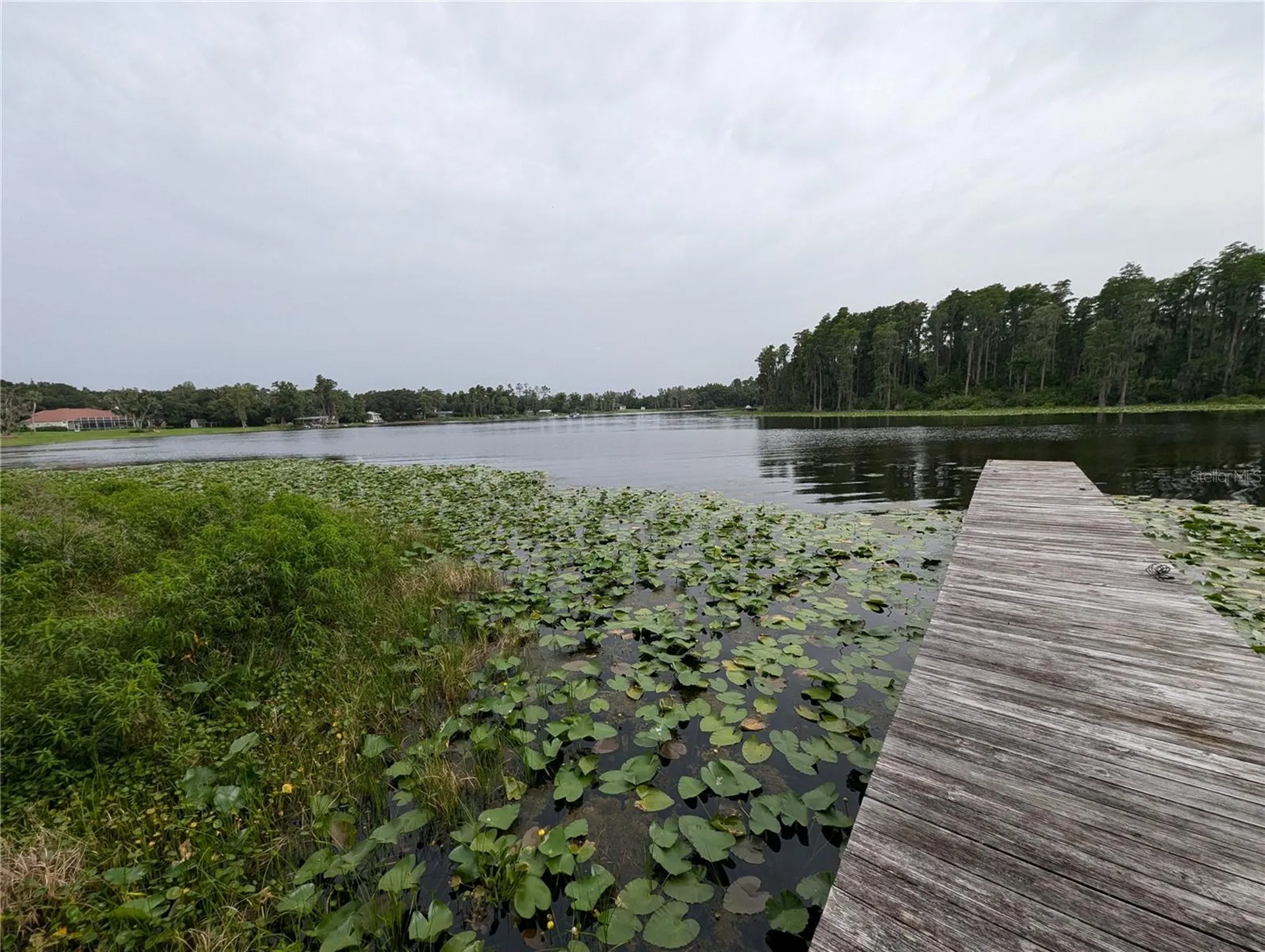 18302 Hanna Road Lutz FL 33549