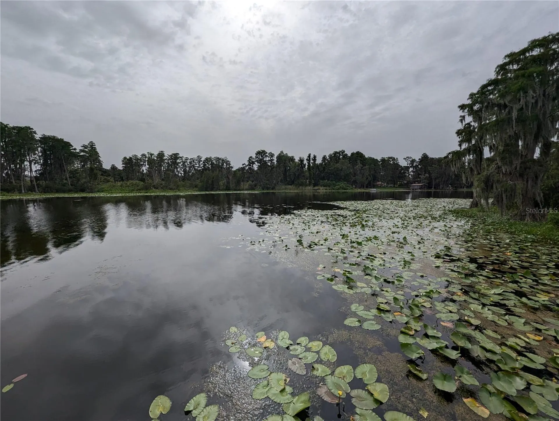 18302 Hanna Road Lutz FL 33549