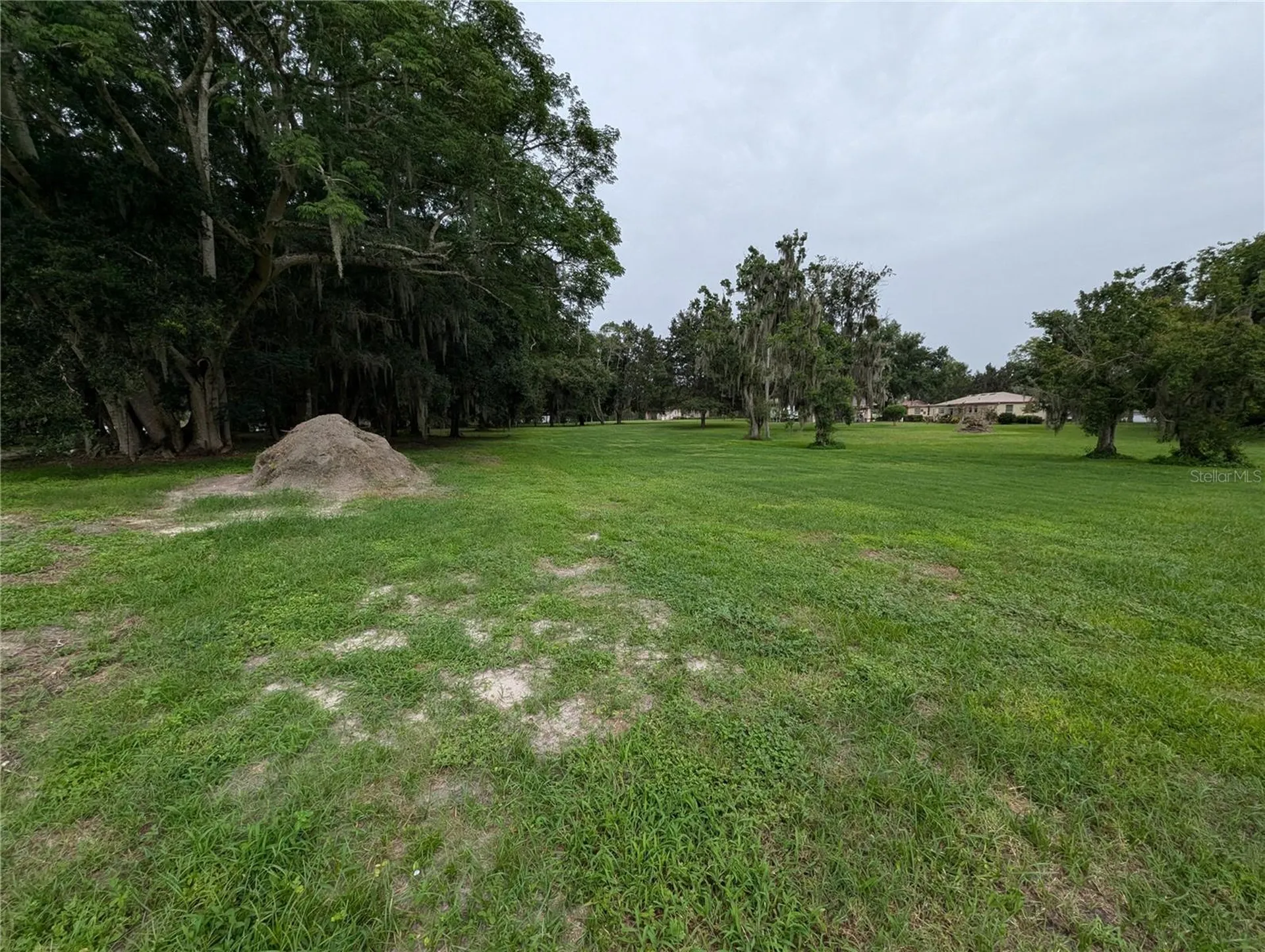 18302 Hanna Road Lutz FL 33549