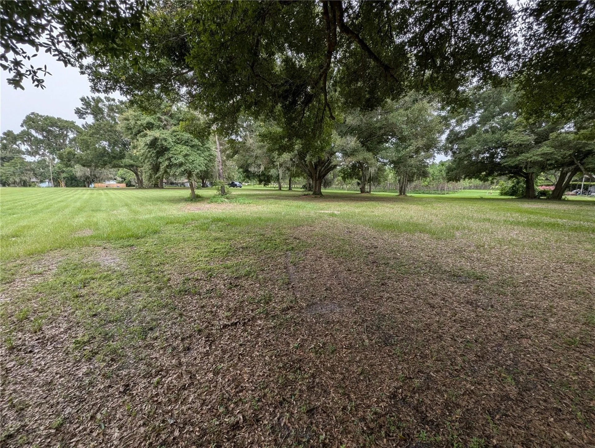 18302 Hanna Road Lutz FL 33549