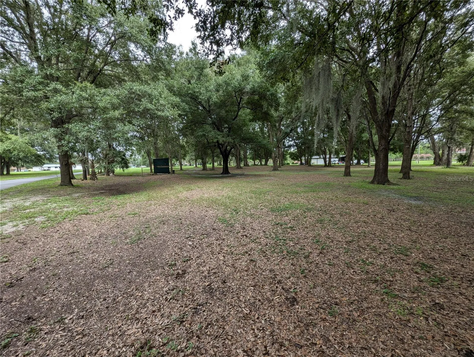 18302 Hanna Road Lutz FL 33549