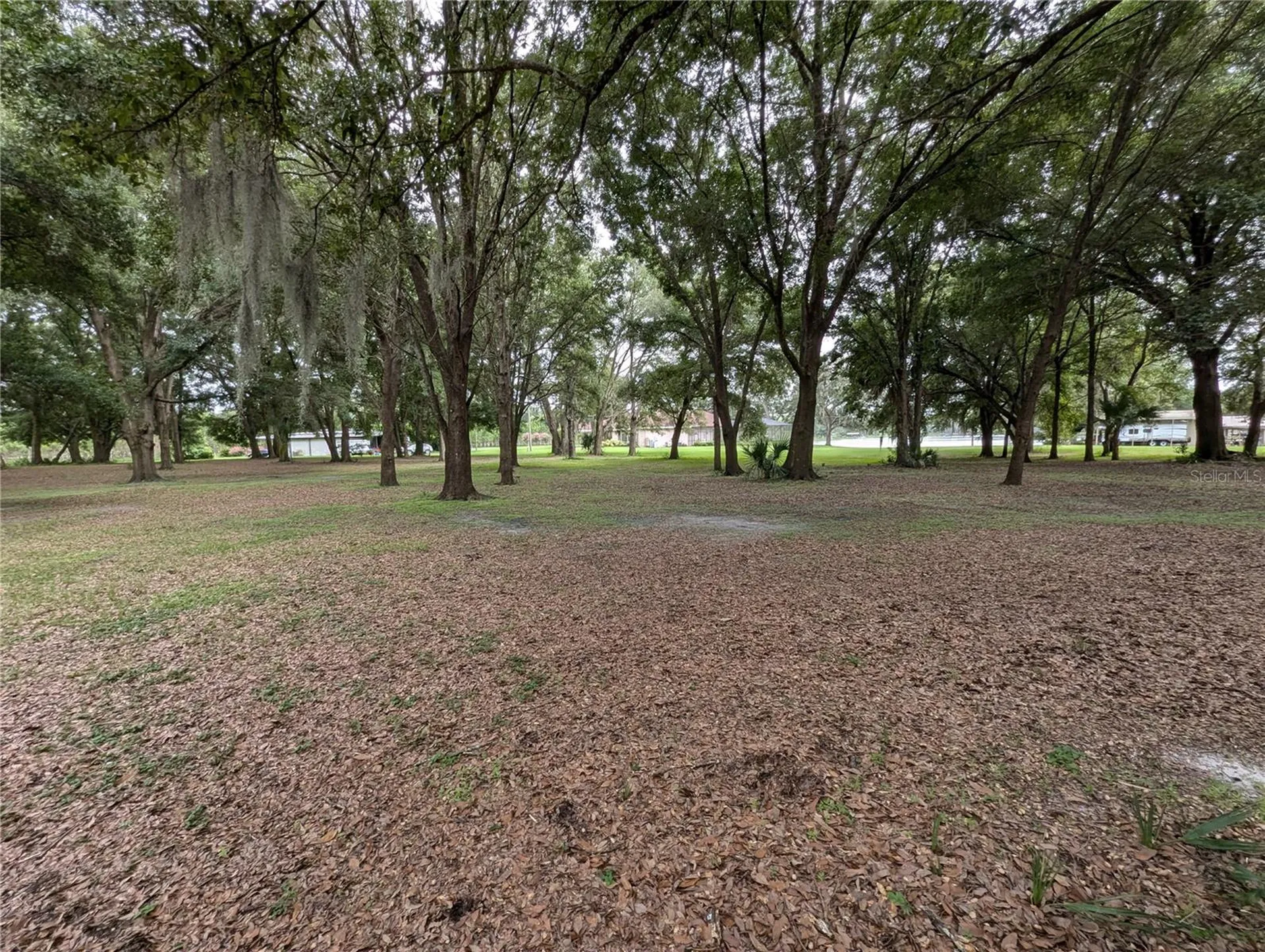18302 Hanna Road Lutz FL 33549