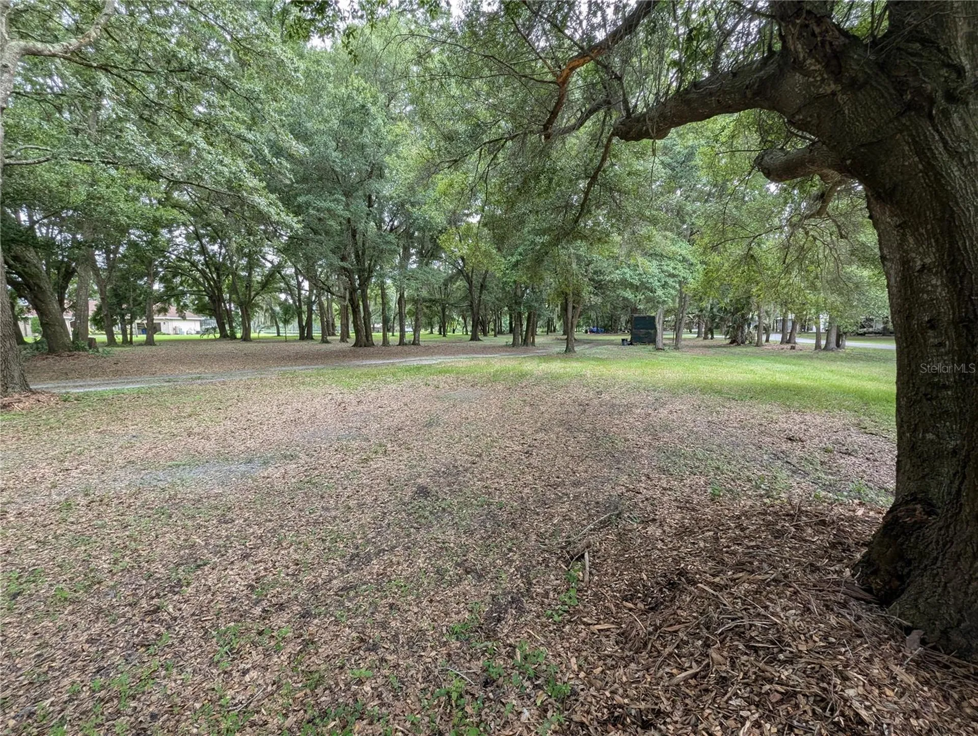 18302 Hanna Road Lutz FL 33549