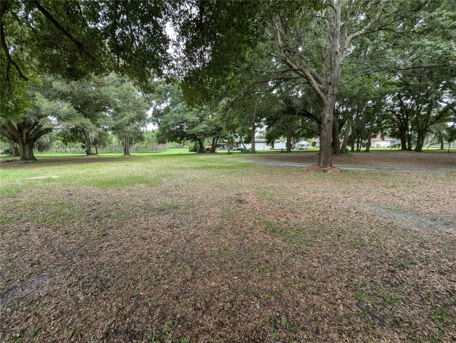 18302 Hanna Road Lutz FL 33549
