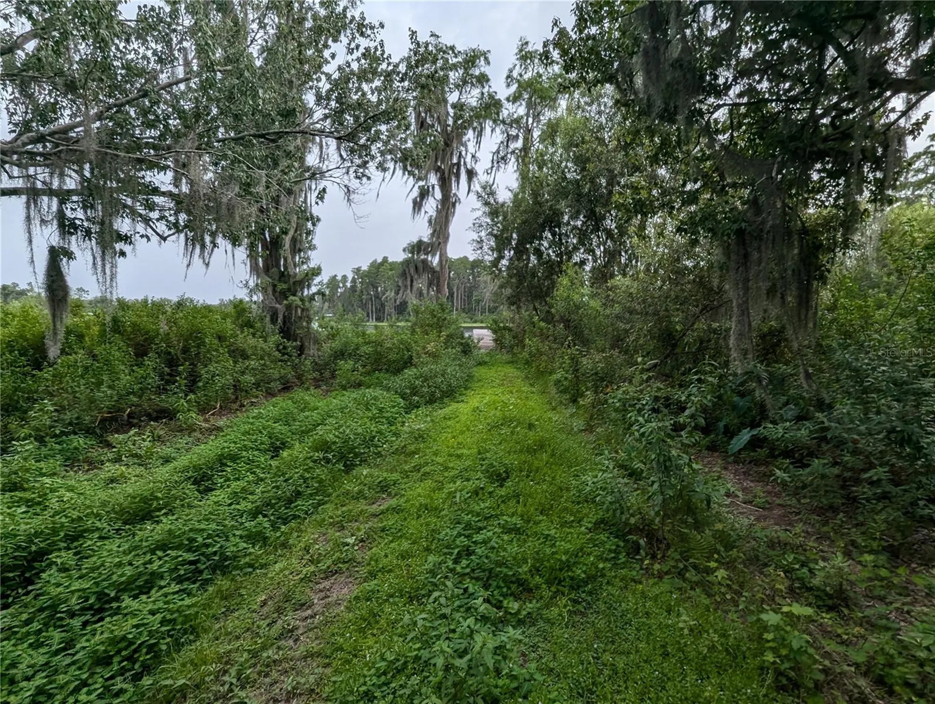 18302 Hanna Road Lutz FL 33549