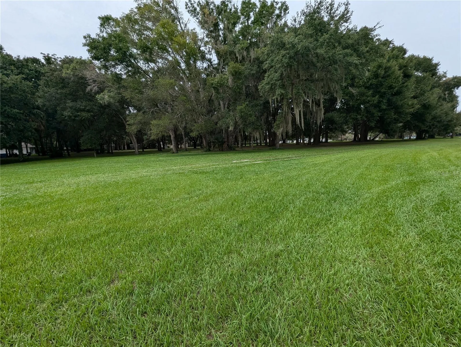 18302 Hanna Road Lutz FL 33549